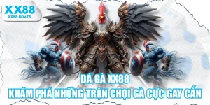 Đá Gà XX88 - Khám Phá Những Trận Chọi Gà Cực Gay Cấn